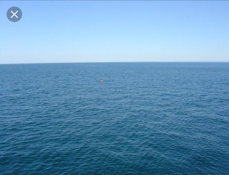 Black See Apartment Kobuleti ภายนอก รูปภาพ